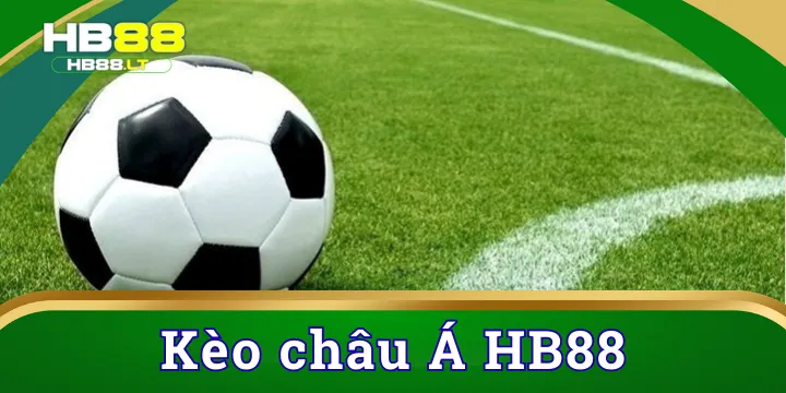 Kèo châu Á - Hướng dẫn cách đọc kèo và những kinh nghiệm luôn thắng 